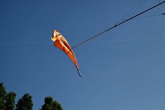 _MG_9039.jpg